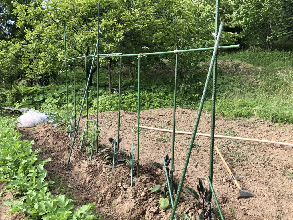 栽培記録 ナス キュウリ トマト ゴーヤ ピーマン 支柱とネットで固定の野菜たち 輝く加賀の田舎暮らし